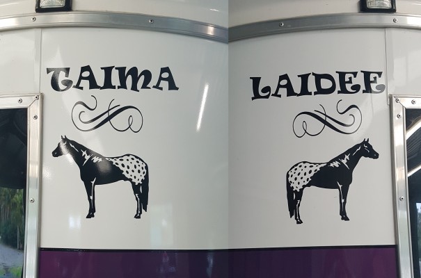 vinyl lettering decal vinyl lettering decal