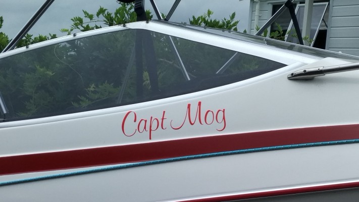 vinyl lettering decal vinyl lettering decal