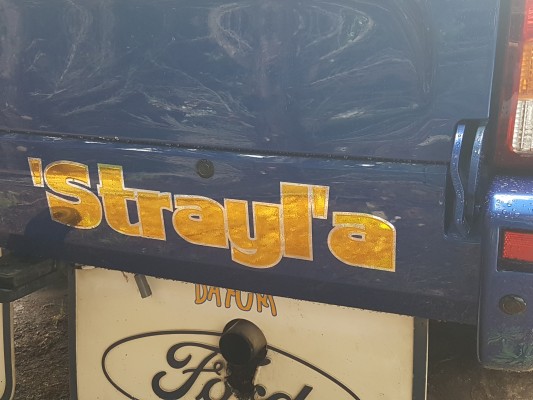 vinyl lettering decal vinyl lettering decal